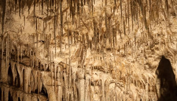 Escursione alle grotte di Drach e Hams + Porto Cristo - Foto 2