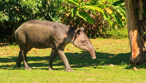 Sirena Tour - Foto 3