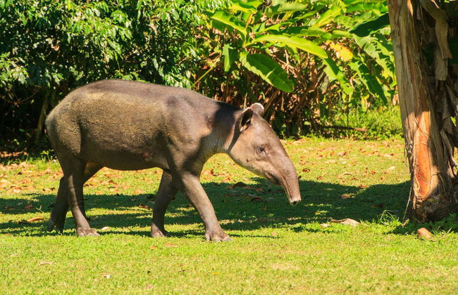 Sirena Tour - Foto 3