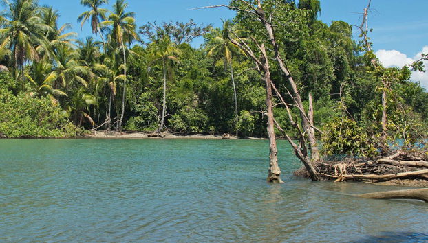 Sirena Tour - Foto 5