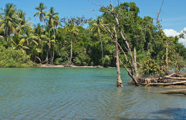 Sirena Tour - Foto 5