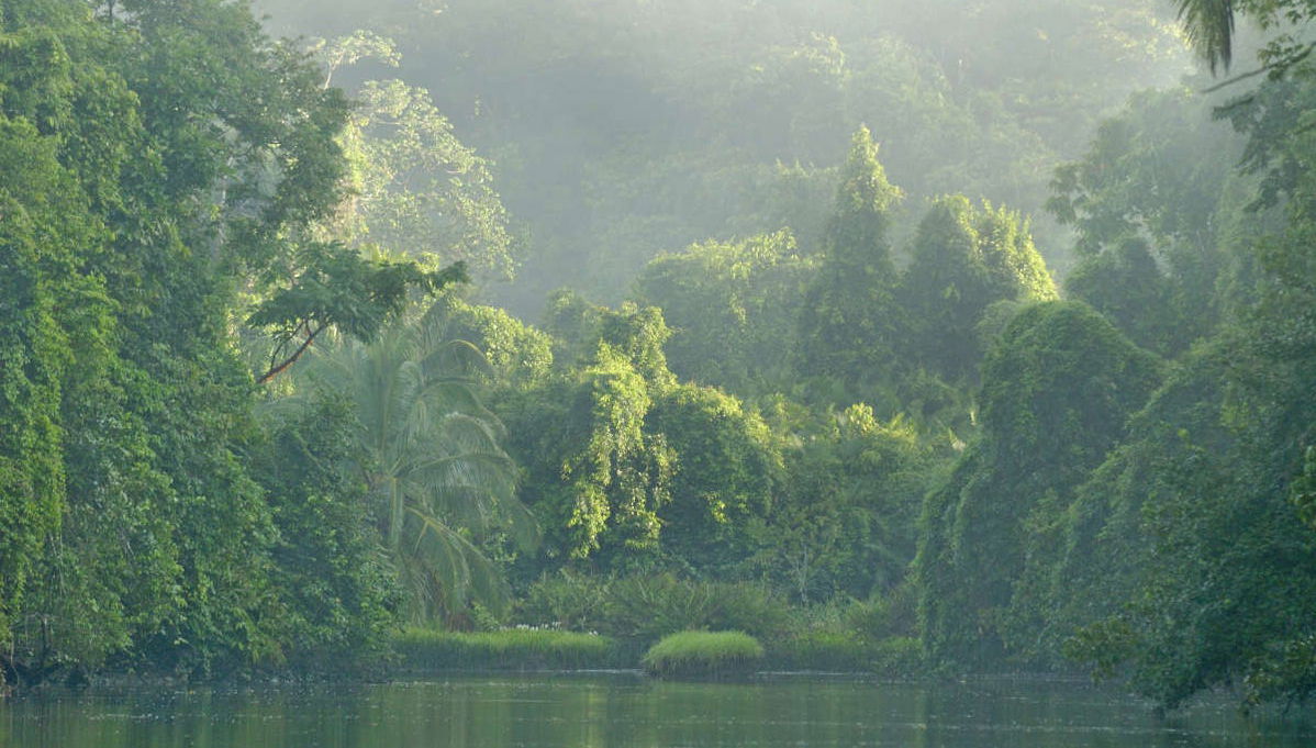 Sirena Tour - Foto 1