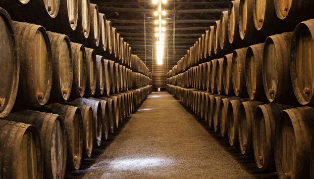 Guimarães Private Day Trip - Photo 5