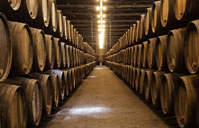 Guimarães Private Day Trip - Photo 5