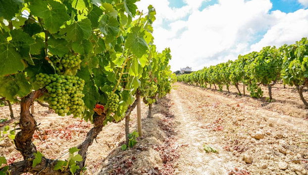 Guimarães Private Day Trip - Photo 3