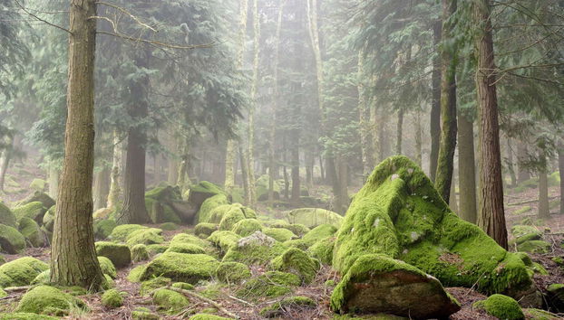 Guimarães Private Day Trip - Photo 4
