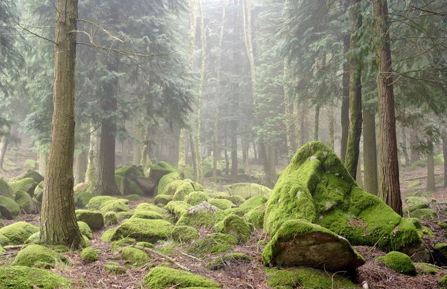 Guimarães Private Day Trip - Photo 4