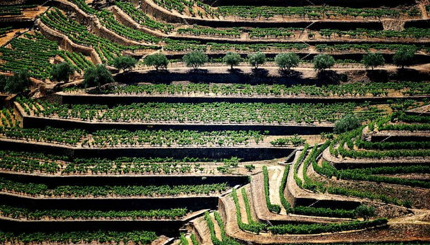 Private Day Trips from Porto - Photo 4