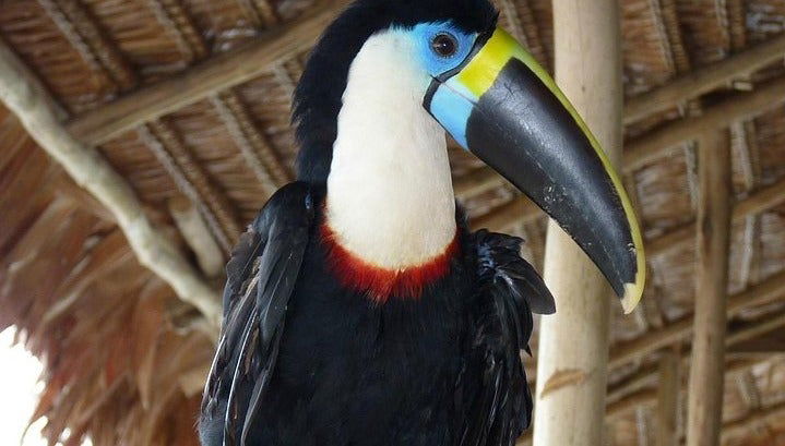 Marasha Nature Reserve 2-Day Tour