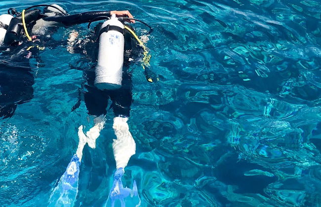 Curso de buceo PADI Open Water - Foto 8