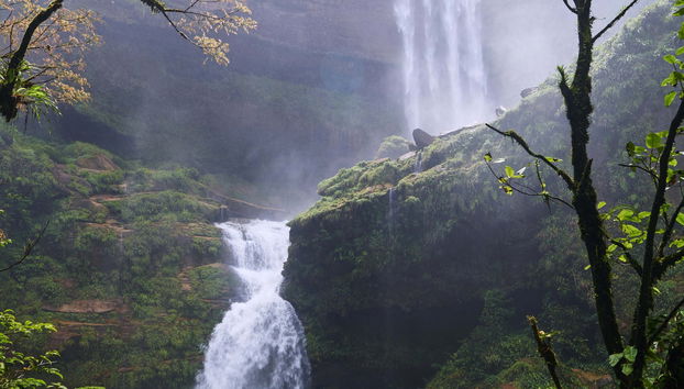 Escursione a Chanchamayo e San Ramón - Foto 4