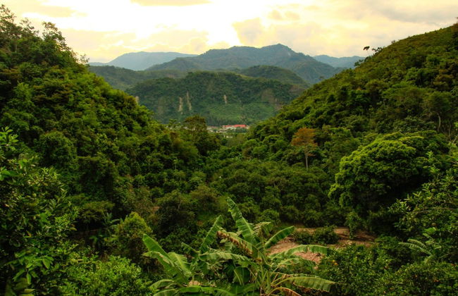 Chanchamayo & San Ramón Day Trip - Photo 6