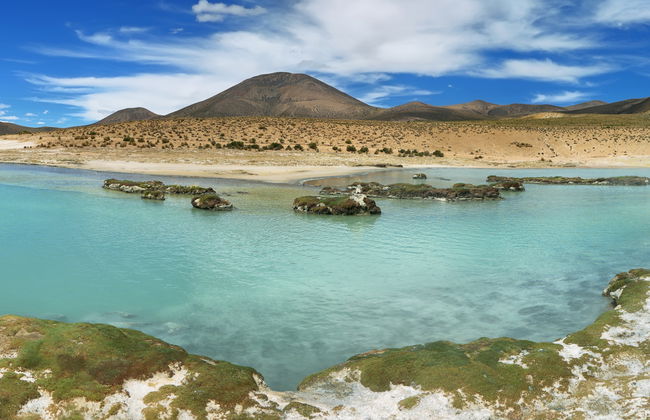 Excursão ao salar de Surire - Foto 6
