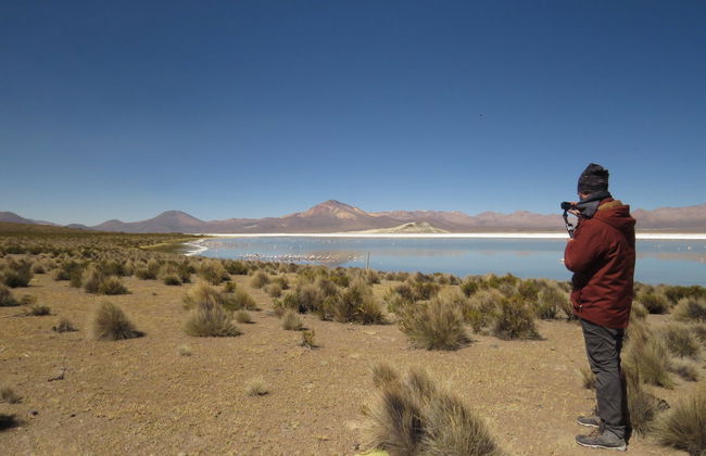 Excursão ao salar de Surire - Foto 1