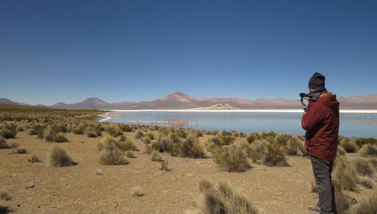 Surire Salt Flat Day Trip - Foto 1