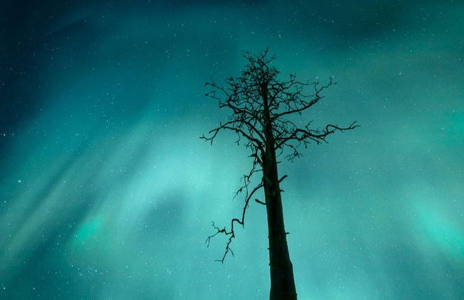 Tour dell'aurora boreale a Saariselkä - Foto 1