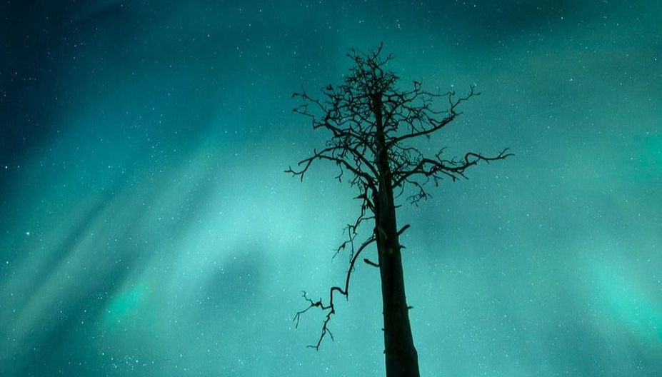 Tour dell'aurora boreale a Saariselkä - Foto 1