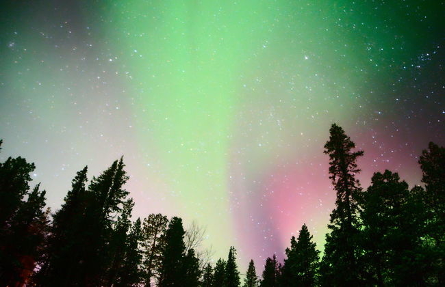 Excursão a Aurora Colosseum - Foto 1