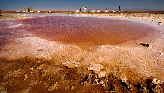 Excursion privée de 2 jours à El Jem, Douz et Kairouan - Photo 4