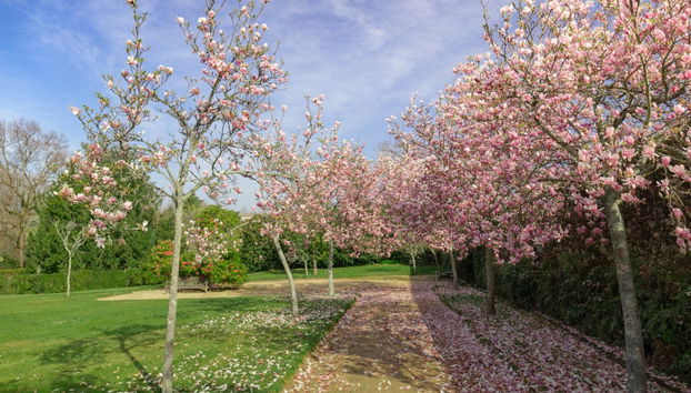 Visite guidée du Pazo Quiñones de León et ses jardins - Photo 2