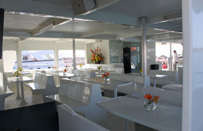 Paseo en catamarán al atardecer por Los Cabos - Foto 5