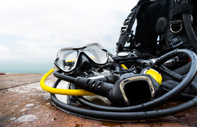 Bay of Pigs Scuba Diving Activity - Foto 2