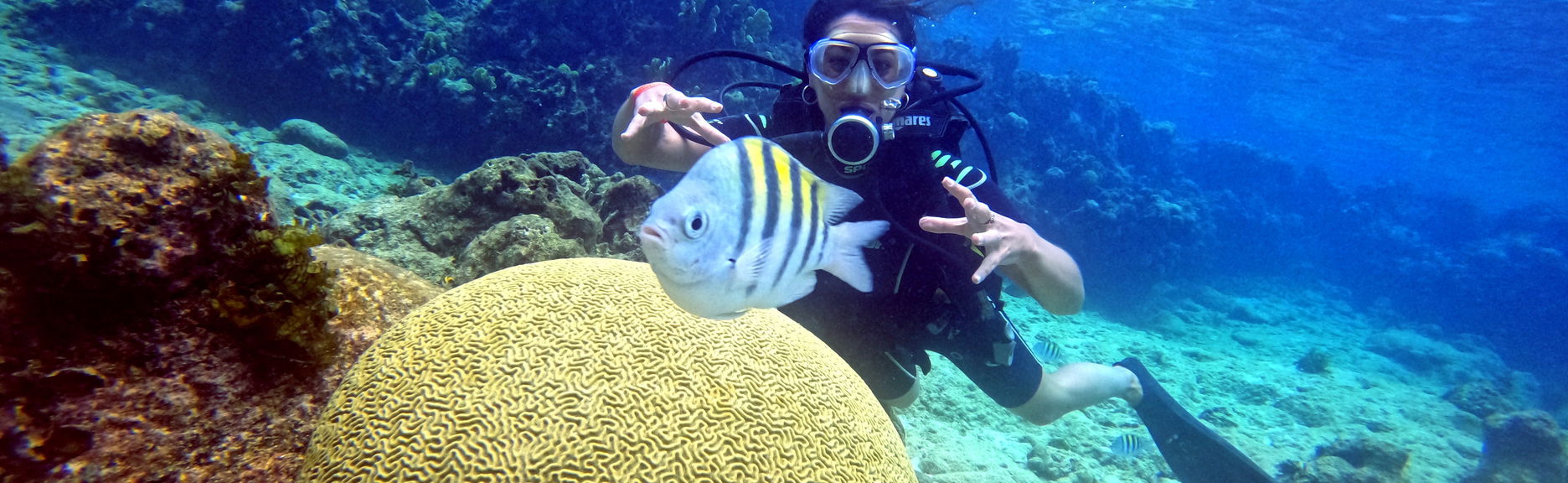 Buceo en la bahía de Cochinos - Foto 1