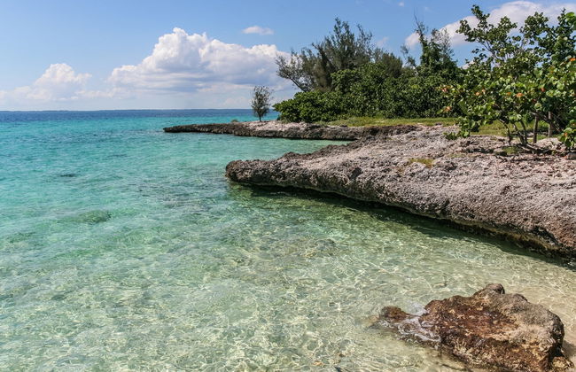 Bay of Pigs Scuba Diving Activity - Foto 3