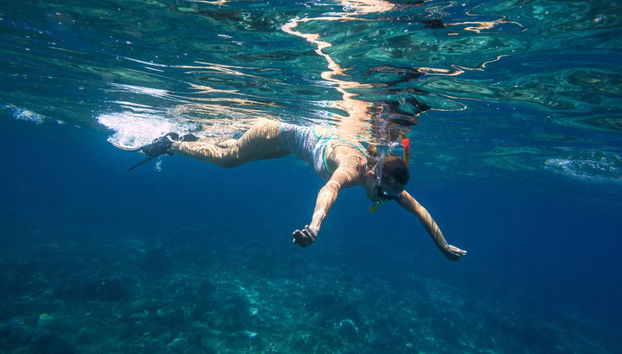 Cruzeiro pela Baía de Banderas - Foto 2