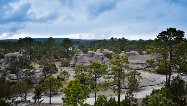 Excursión al Parque Natural Mexiquillo - Foto 4