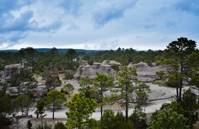 Excursión al Parque Natural Mexiquillo - Foto 4