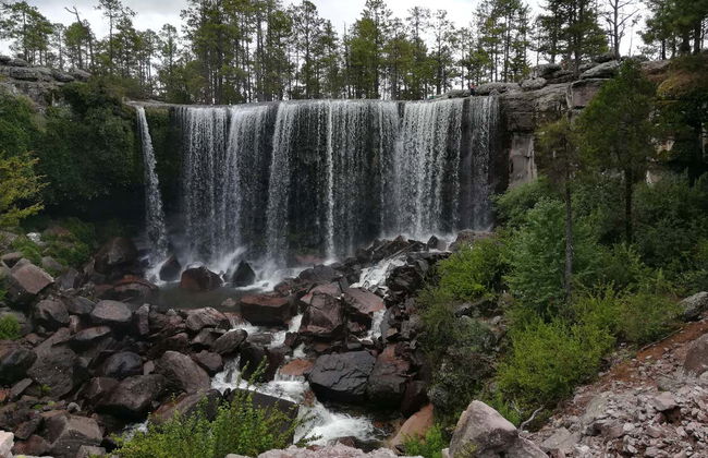 Excursión al Parque Natural Mexiquillo - Foto 6