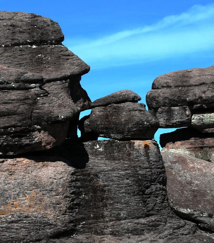 Foto de Excursión al Parque Natural Mexiquillo