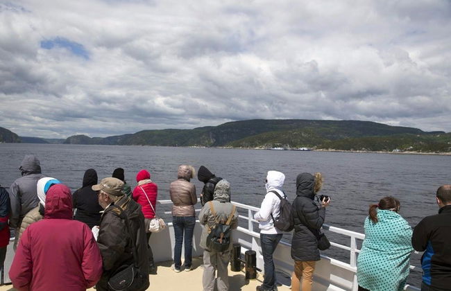 Paseo en barco con avistamiento de ballenas - Foto 6