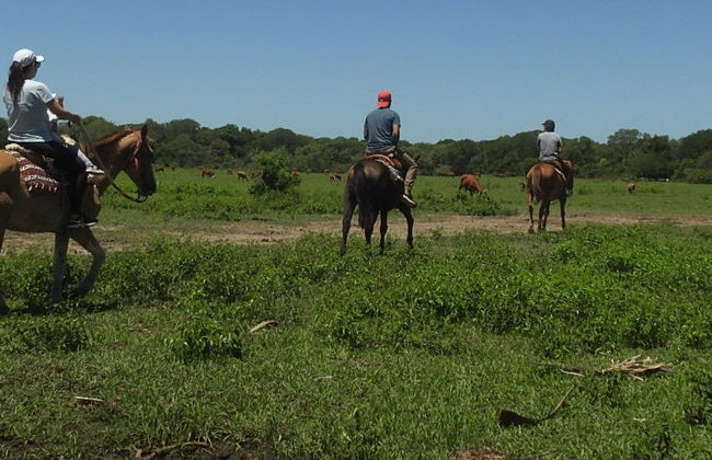 Paseo a caballo por la estancia San Rafael - Foto 8
