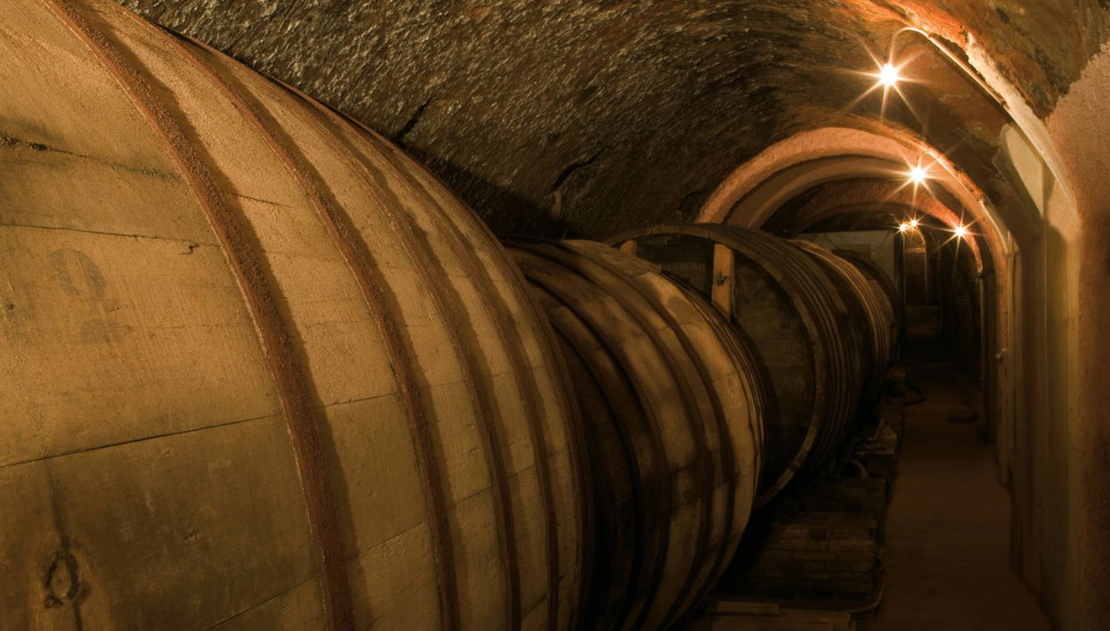 Bodegas De Alberto Tour - Photo 1