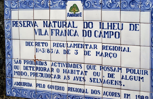 Visite de l'îlot de Vila Franca - Photo 9