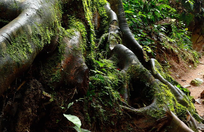 Senderismo por la Ruta de Indiana Jones - Foto 5