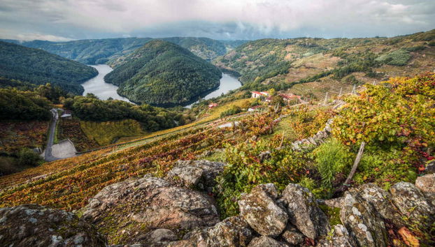Ribeira Sacra Segway Tour - Photo 2