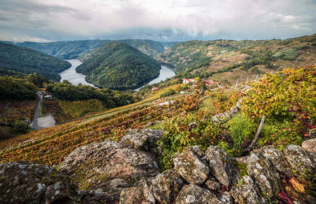 Tour en segway por la Ribeira Sacra - Foto 2