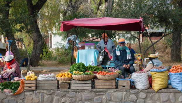Tour por Tarija - Foto 4