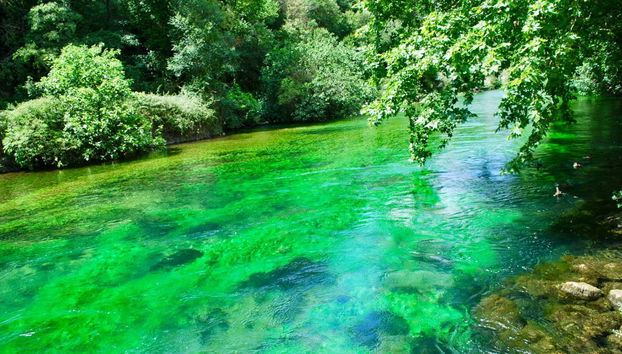 Tour por la Provenza - Foto 2