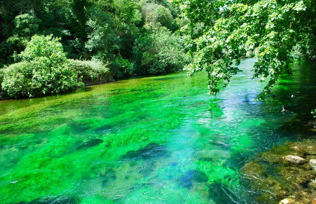 Tour por la Provenza - Foto 2