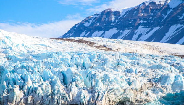 Portage Glacier + Wildlife Conservation Center - Photo 3