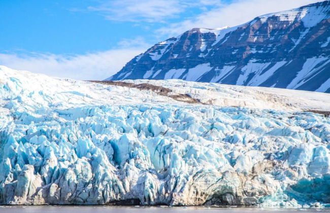 Glaciar Portage + Centro de Conservación de Vida Silvestre - Foto 3