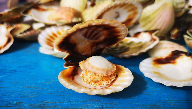 Excursion aux Islas de Gigantes - Photo 5