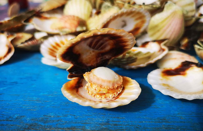 Excursion aux Islas de Gigantes - Photo 5