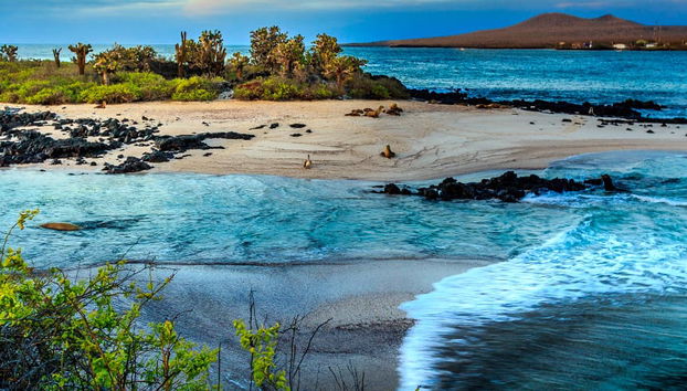 Tour di 5 giorni dell'isola di Santa Cruz e Isabela - Foto 4