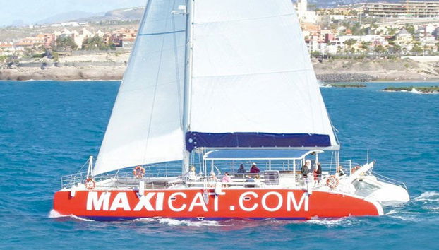 Paseo en catamarán por Costa Adeje - Foto 4