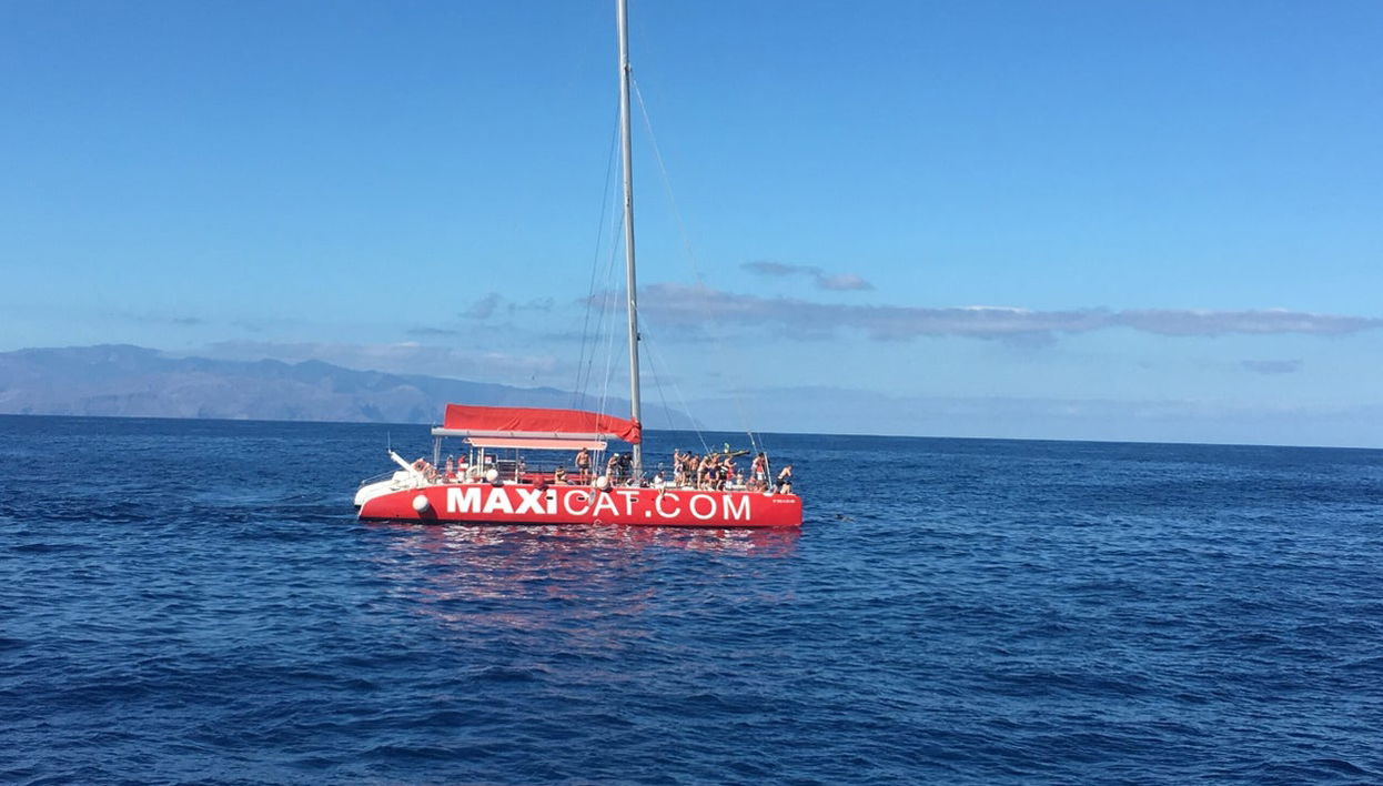 Paseo en catamarán por Costa Adeje - Foto 1